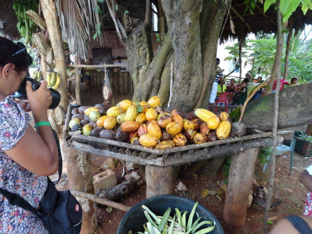 ai862.photobucket.com_albums_ab181_paulonev_Samana_20Setembro_202014_DSC01932Coacutepia.jpg
