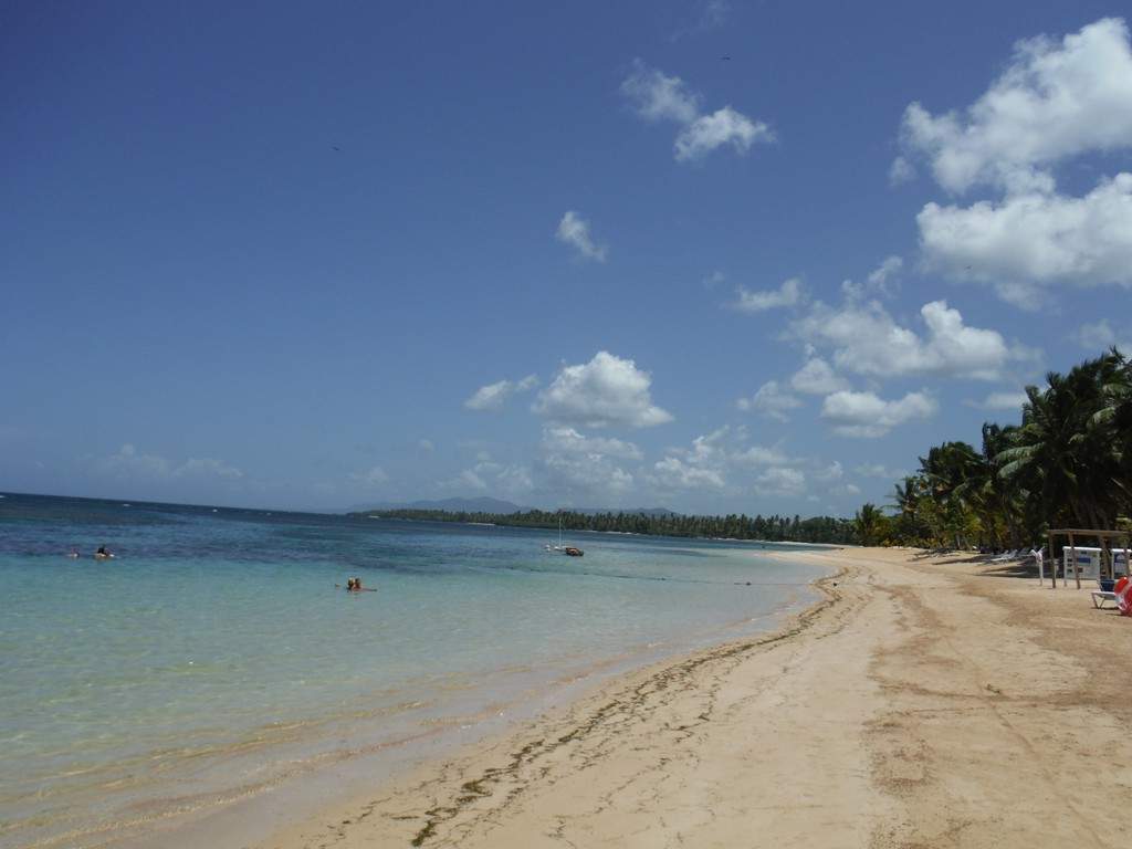 ai862.photobucket.com_albums_ab181_paulonev_Samana_20Setembro_202014_DSCF2005Coacutepia.jpg