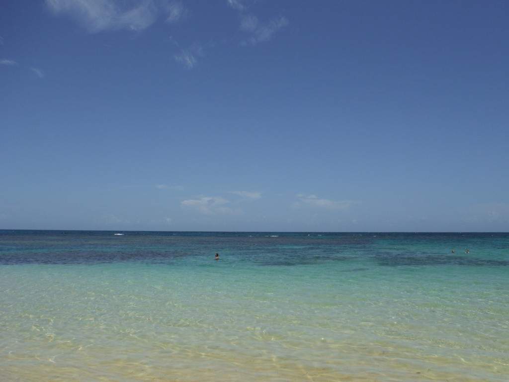 ai862.photobucket.com_albums_ab181_paulonev_Samana_20Setembro_202014_DSCF2006Coacutepia.jpg