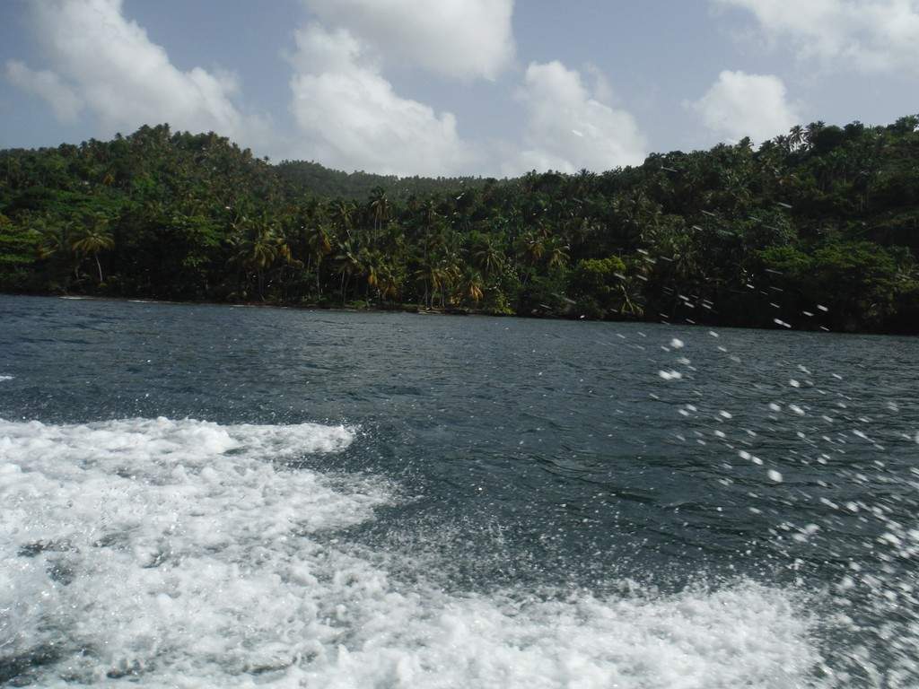 ai862.photobucket.com_albums_ab181_paulonev_Samana_20Setembro_202014_DSCF2180Coacutepia.jpg