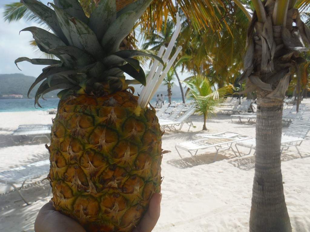 ai862.photobucket.com_albums_ab181_paulonev_Samana_20Setembro_202014_DSCF2215Coacutepia.jpg