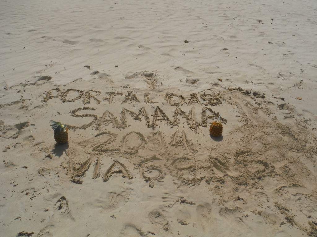 ai862.photobucket.com_albums_ab181_paulonev_Samana_20Setembro_202014_DSCF2227Coacutepia.jpg