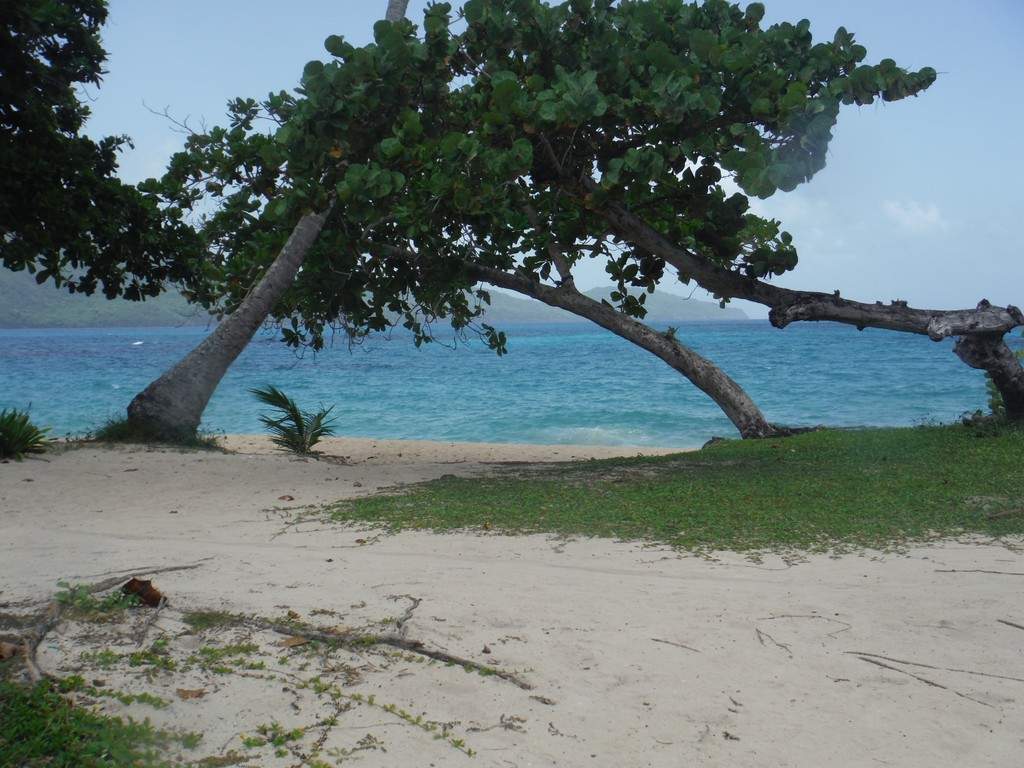 ai862.photobucket.com_albums_ab181_paulonev_Samana_20Setembro_202014_DSCF2239Coacutepia.jpg