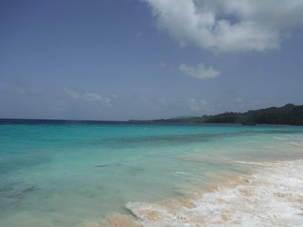 ai862.photobucket.com_albums_ab181_paulonev_Samana_20Setembro_202014_DSCF2251Coacutepia.jpg
