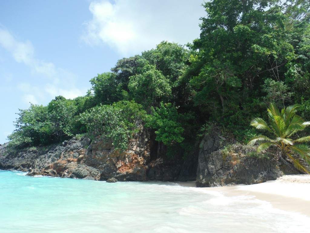 ai862.photobucket.com_albums_ab181_paulonev_Samana_20Setembro_202014_DSCF2277Coacutepia.jpg