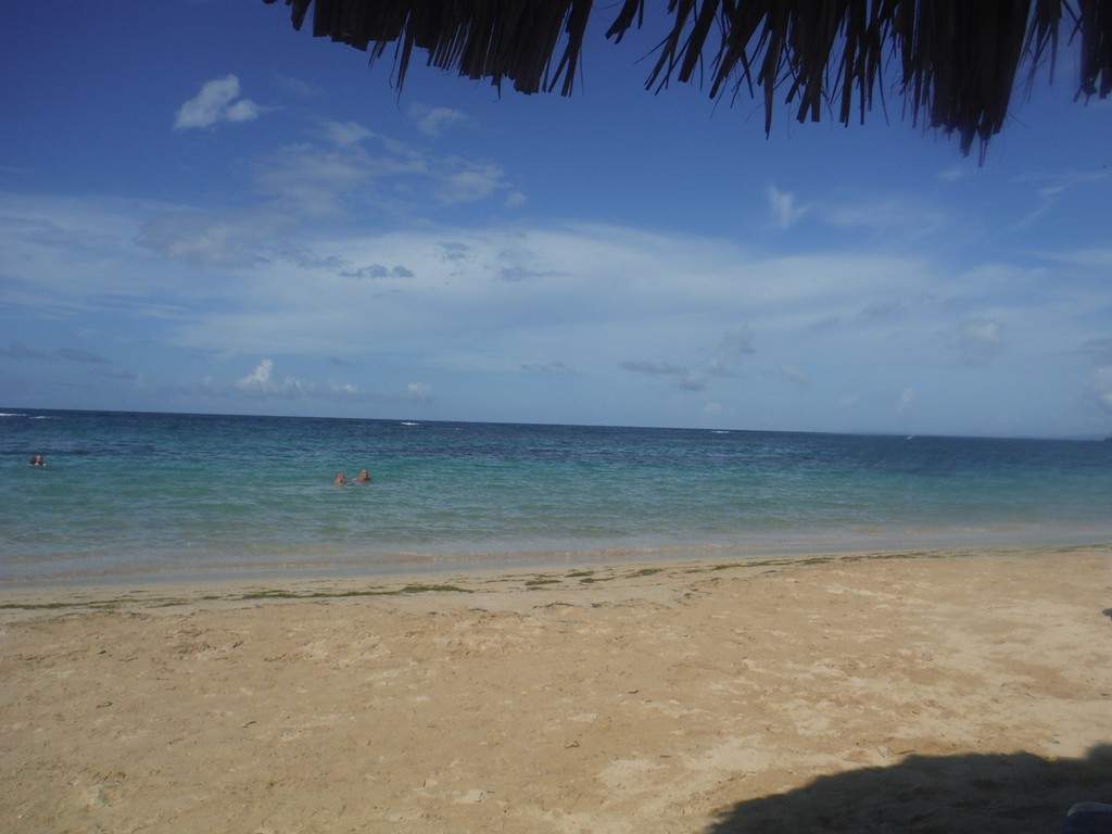 ai862.photobucket.com_albums_ab181_paulonev_Samana_20Setembro_202014_DSCF2319Coacutepia.jpg