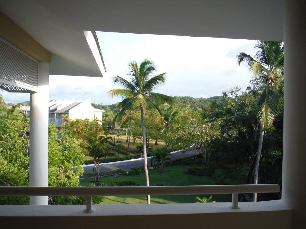 ai862.photobucket.com_albums_ab181_paulonev_Samana_20Setembro_202014_DSCF2338Coacutepia.jpg