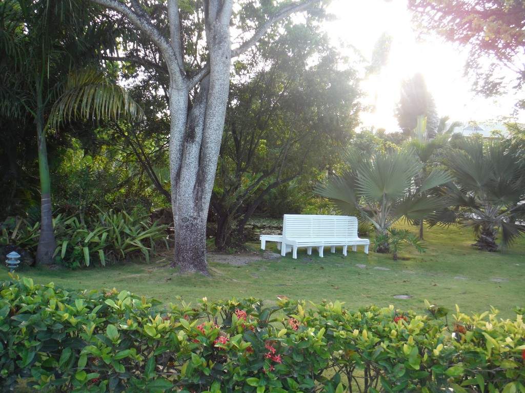ai862.photobucket.com_albums_ab181_paulonev_Samana_20Setembro_202014_DSCF2354Coacutepia.jpg