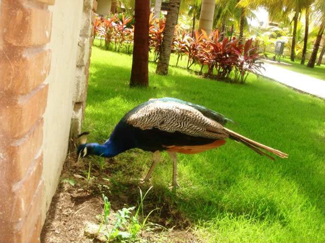 ai862.photobucket.com_albums_ab189_Soraya_B_DSC04098.jpg