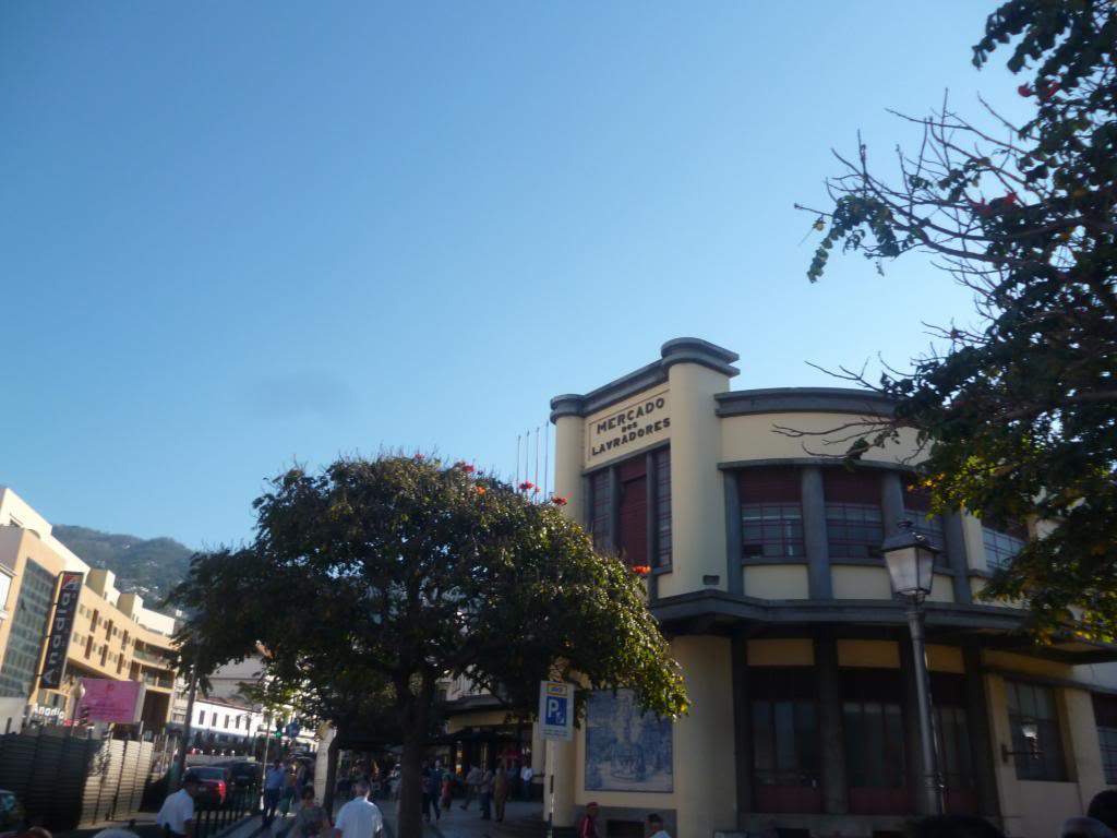 ai864.photobucket.com_albums_ab207_elisabetemlsilva_P1050026_zpsf9c9dddd.jpg