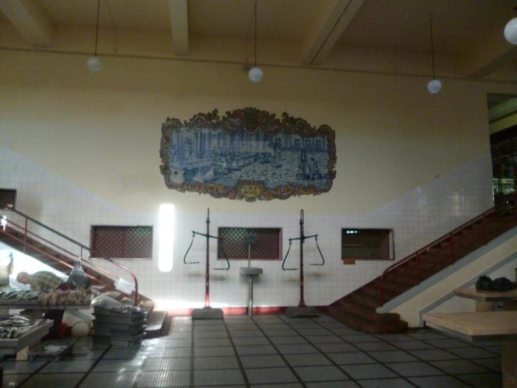 ai864.photobucket.com_albums_ab207_elisabetemlsilva_P1050046_zps615e50f1.jpg