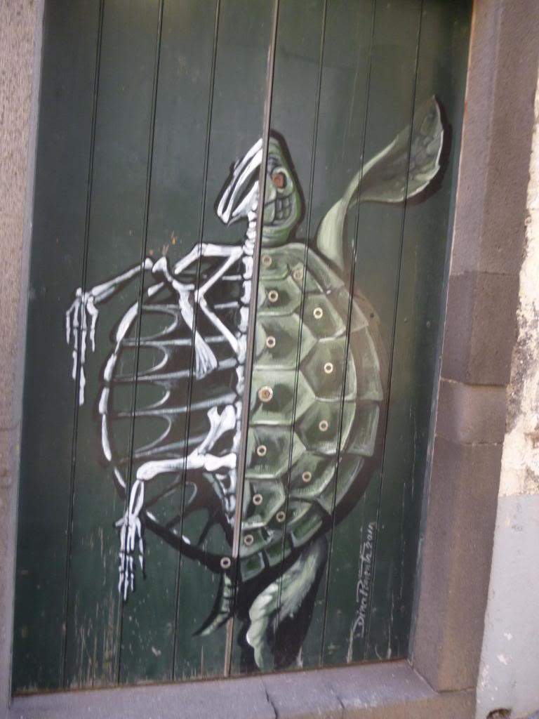 ai864.photobucket.com_albums_ab207_elisabetemlsilva_P1050107_zps3415c6a3.jpg
