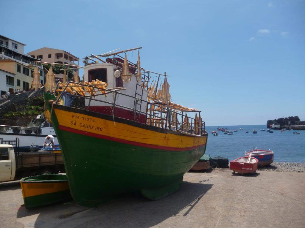 ai864.photobucket.com_albums_ab207_elisabetemlsilva_P1050331_zps22332c57.jpg