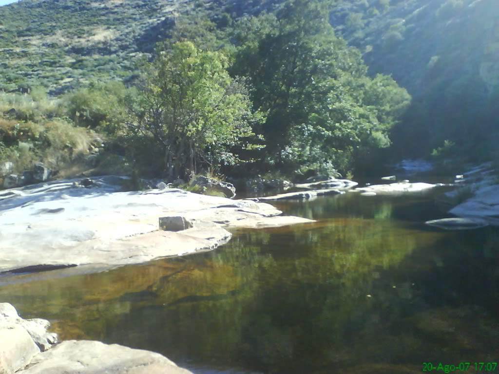 ai866.photobucket.com_albums_ab221_gfamaral_DSC06484.jpg