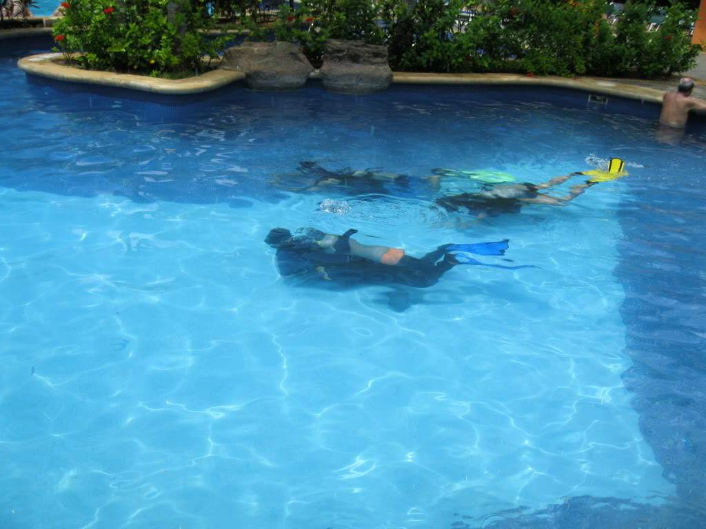ai873.photobucket.com_albums_ab291_joanita_2010_IMG_0097.jpg