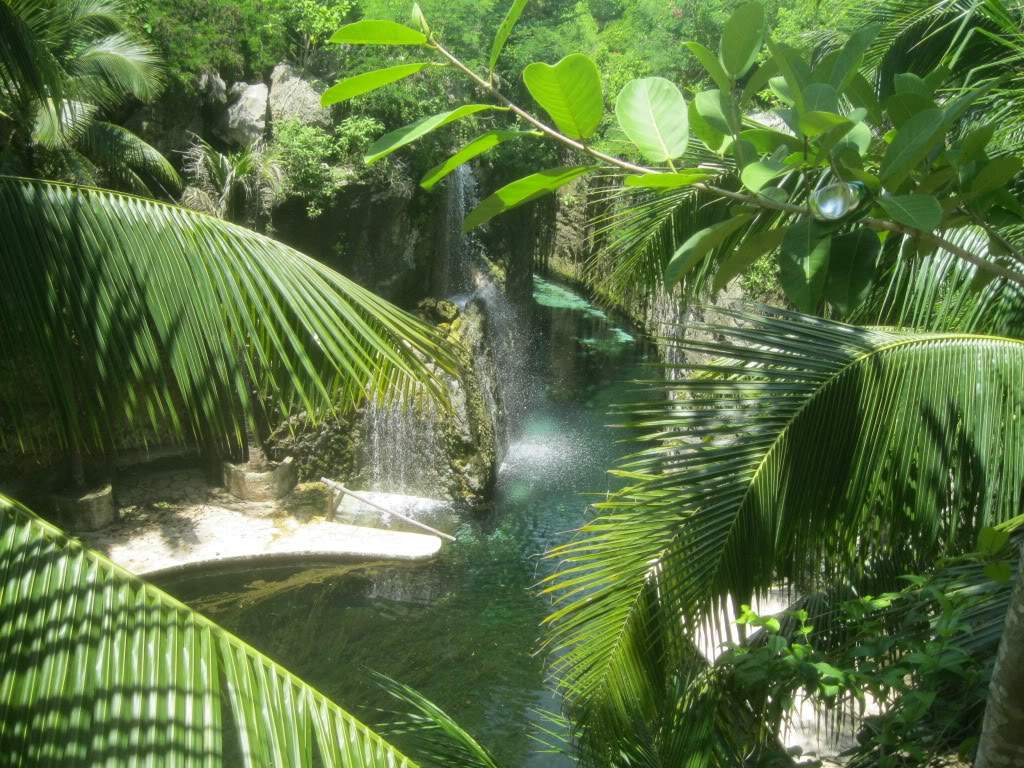 ai873.photobucket.com_albums_ab291_joanita_2010_IMG_0484.jpg