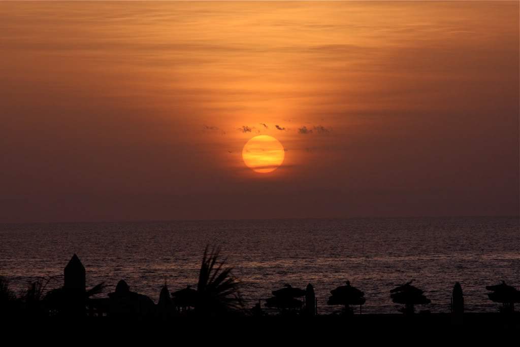 ai876.photobucket.com_albums_ab325_caluPT_IMG_7589.jpg