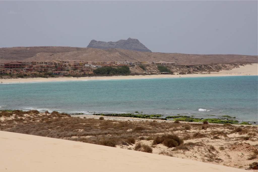 ai876.photobucket.com_albums_ab325_caluPT_IMG_7668.jpg
