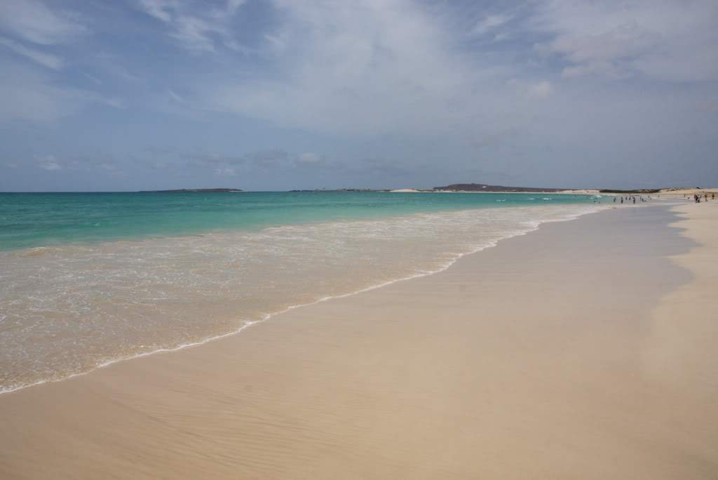 ai876.photobucket.com_albums_ab325_caluPT_IMG_7694.jpg