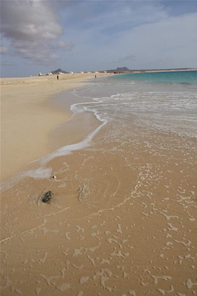 ai876.photobucket.com_albums_ab325_caluPT_IMG_7725.jpg