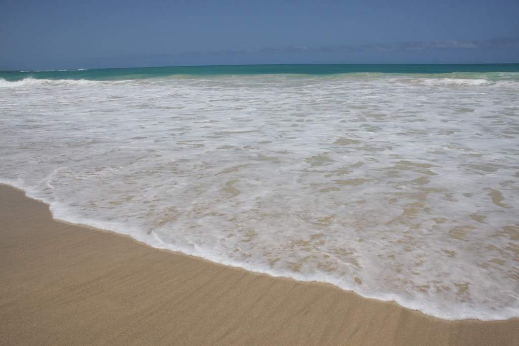 ai876.photobucket.com_albums_ab325_caluPT_IMG_7769.jpg