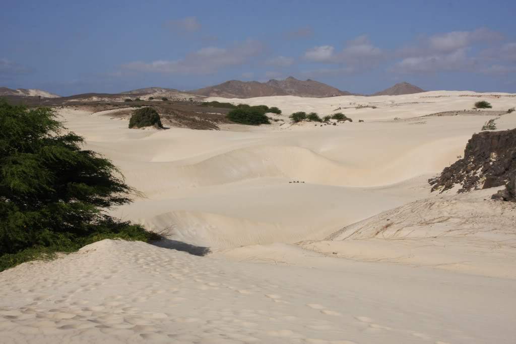 ai876.photobucket.com_albums_ab325_caluPT_IMG_7858.jpg