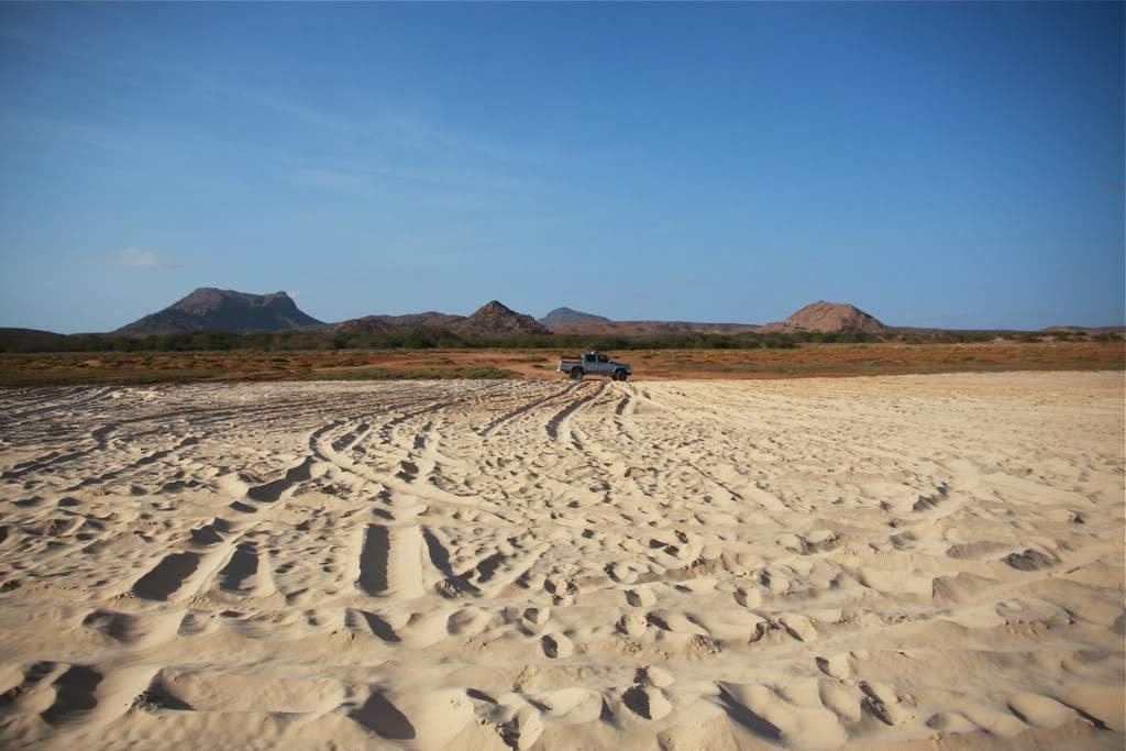 ai876.photobucket.com_albums_ab325_caluPT_IMG_7880.jpg