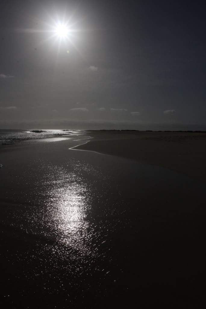 ai876.photobucket.com_albums_ab325_caluPT_IMG_7893.jpg