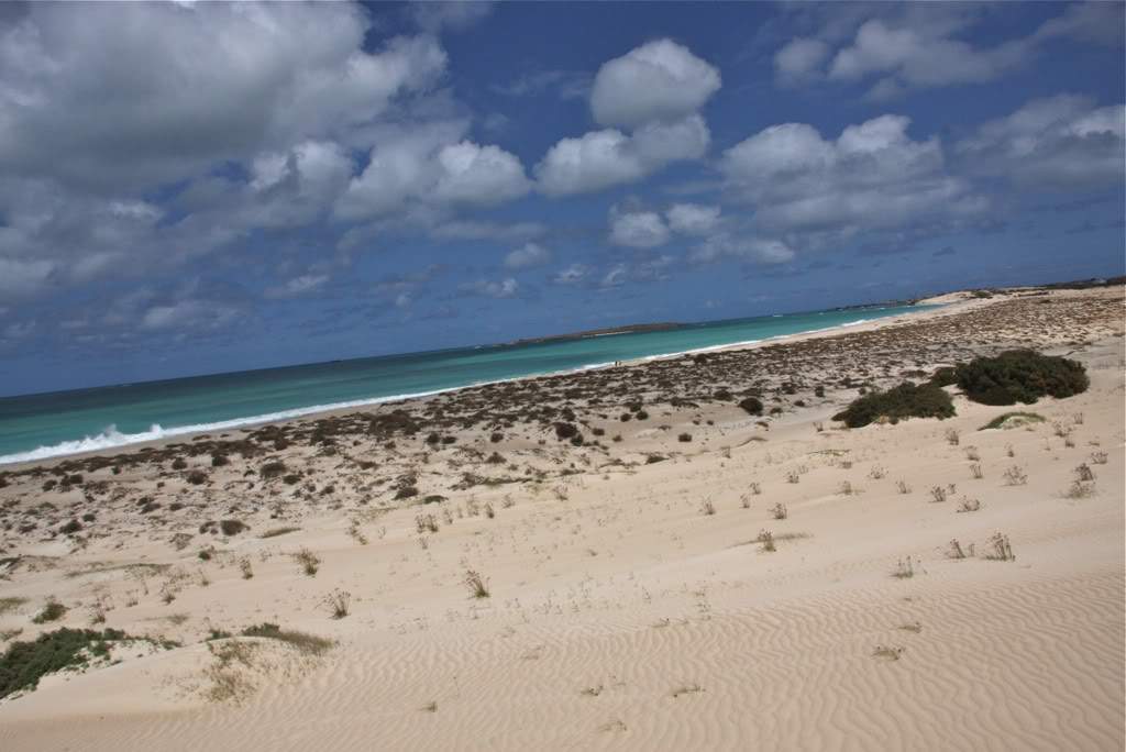 ai876.photobucket.com_albums_ab325_caluPT_IMG_8383.jpg