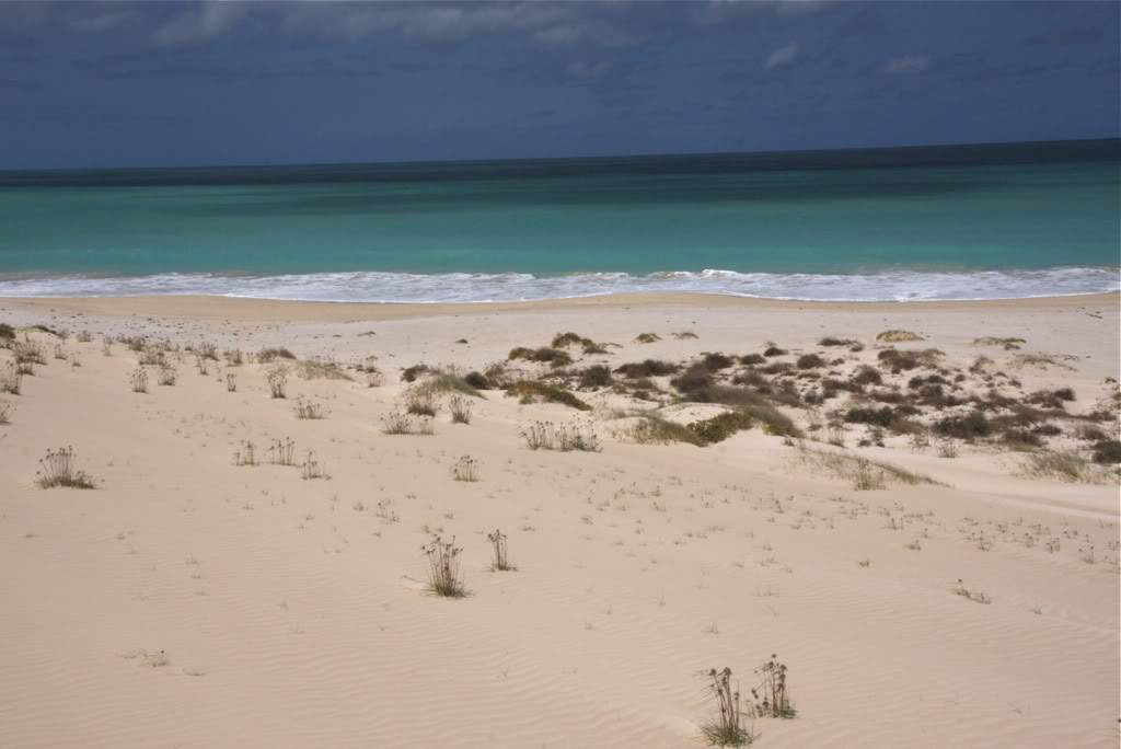 ai876.photobucket.com_albums_ab325_caluPT_IMG_8389.jpg