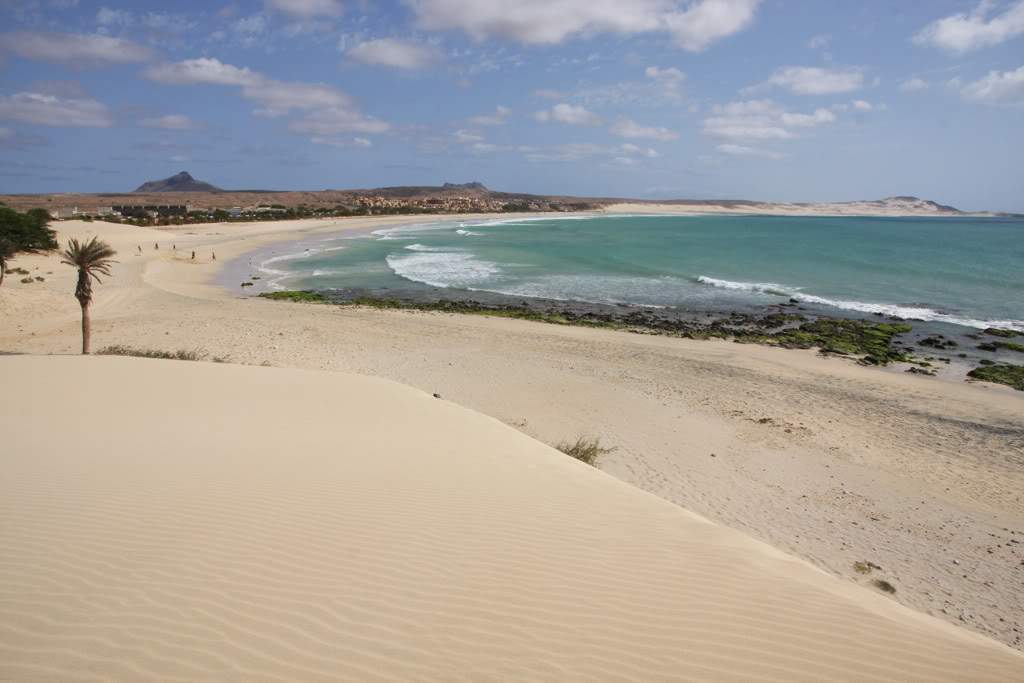 ai876.photobucket.com_albums_ab325_caluPT_IMG_8511.jpg