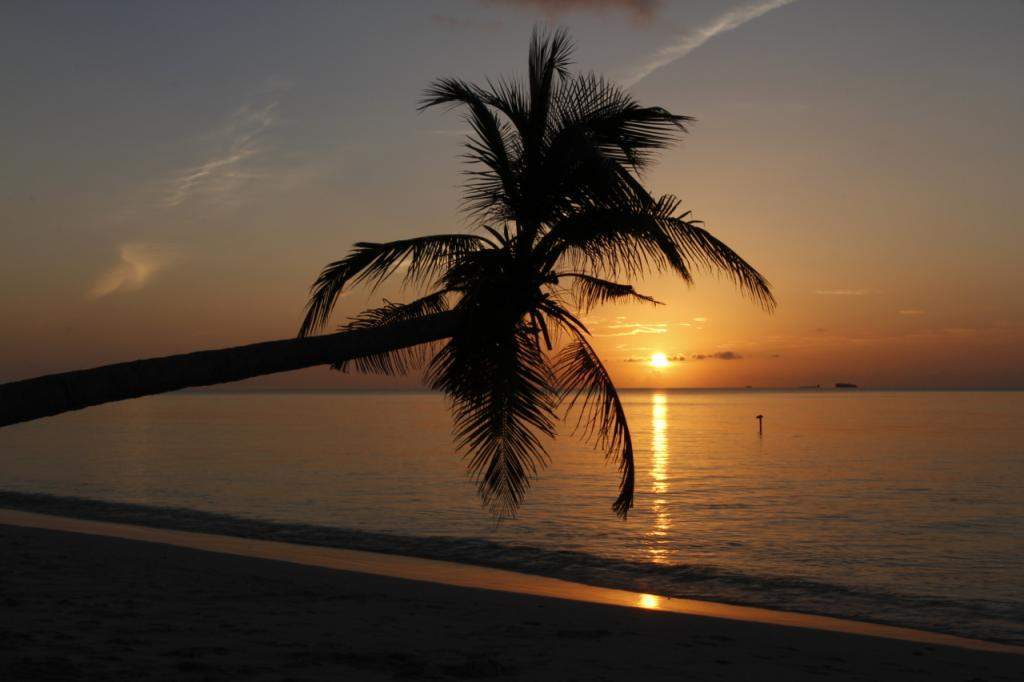 ai876.photobucket.com_albums_ab325_caluPT_Maldives__MG_8163_zps6a326773.jpg