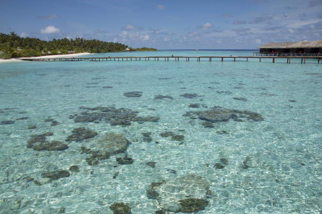 ai876.photobucket.com_albums_ab325_caluPT_Maldives__MG_8386_zpsefeb865e.jpg