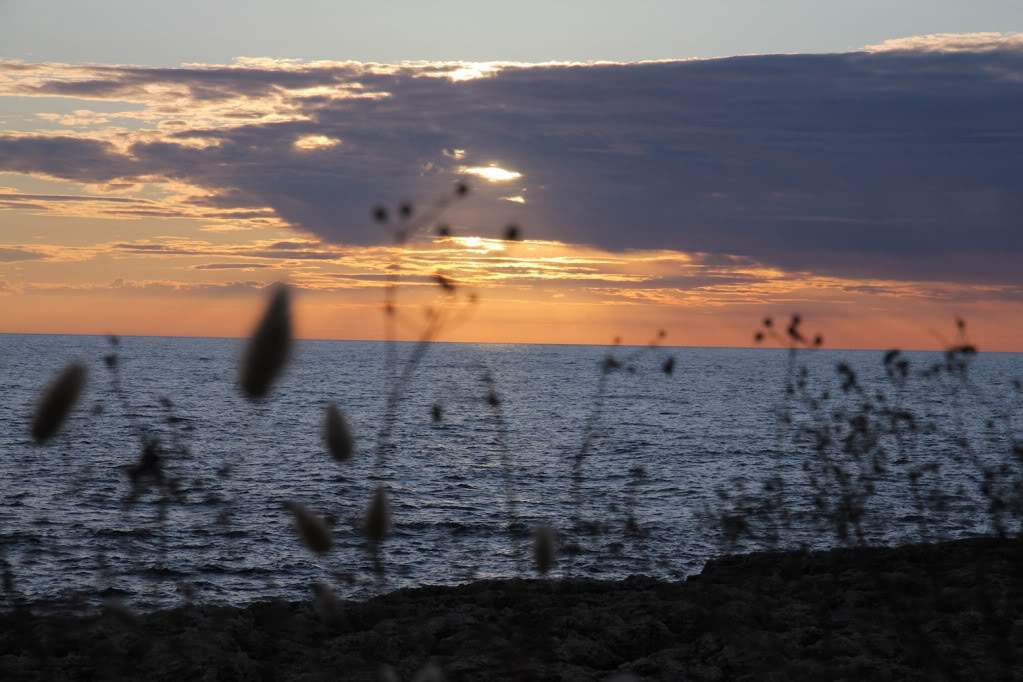 ai876.photobucket.com_albums_ab325_caluPT_Menorca_IMG_1557.jpg