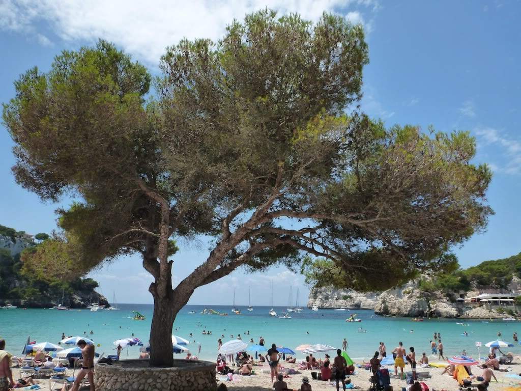 ai876.photobucket.com_albums_ab325_caluPT_Menorca_P1010159.jpg