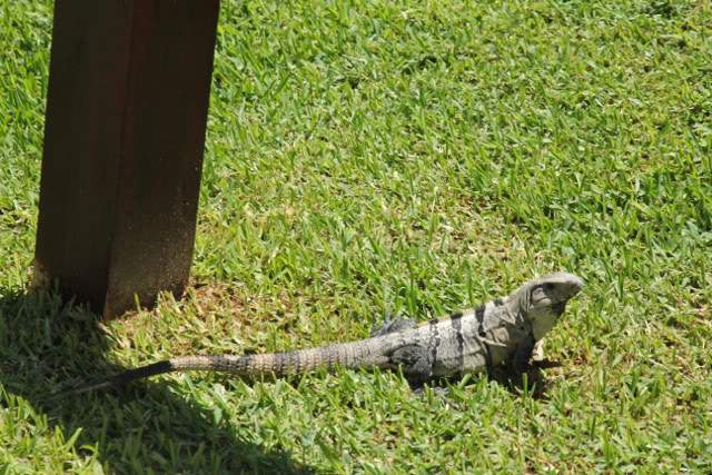 ai876.photobucket.com_albums_ab325_caluPT_Mexico_202011_IMG_1887.jpg