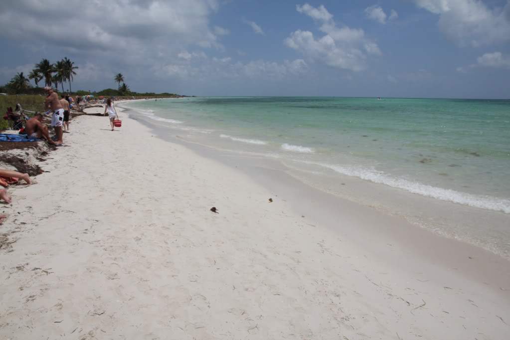ai876.photobucket.com_albums_ab325_caluPT_Miami_20and_20Keys_BahiaHondaStateParkSandspur1.jpg