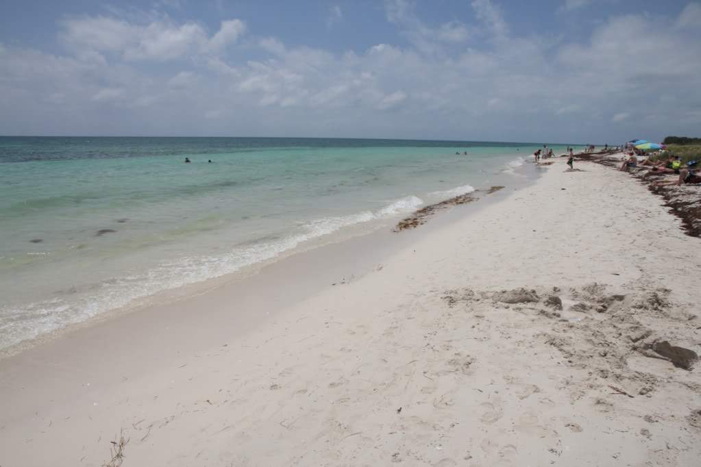 ai876.photobucket.com_albums_ab325_caluPT_Miami_20and_20Keys_BahiaHondaStateParkSandspur2.jpg