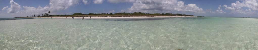 ai876.photobucket.com_albums_ab325_caluPT_Miami_20and_20Keys_BahiaHondaStateParkSandspur3.jpg