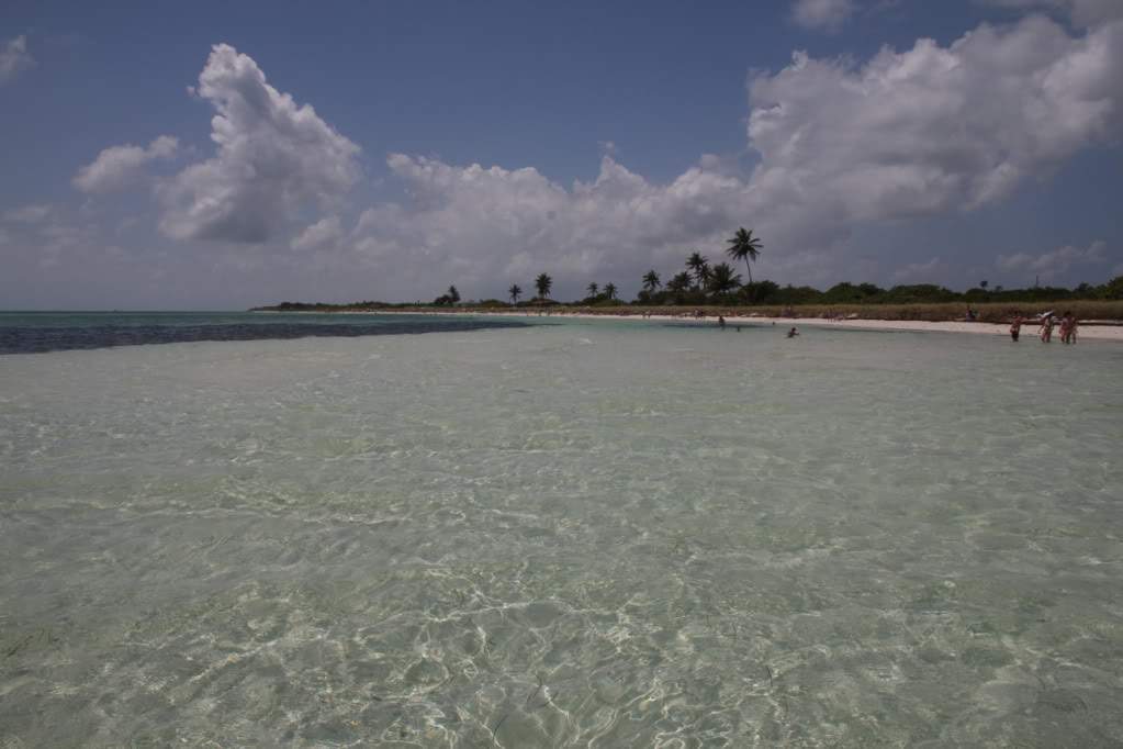 ai876.photobucket.com_albums_ab325_caluPT_Miami_20and_20Keys_BahiaHondaStateParkSandspur4.jpg