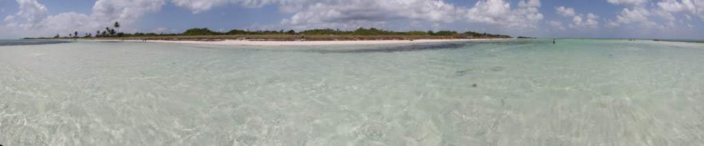 ai876.photobucket.com_albums_ab325_caluPT_Miami_20and_20Keys_BahiaHondaStateParkSandspur5.jpg