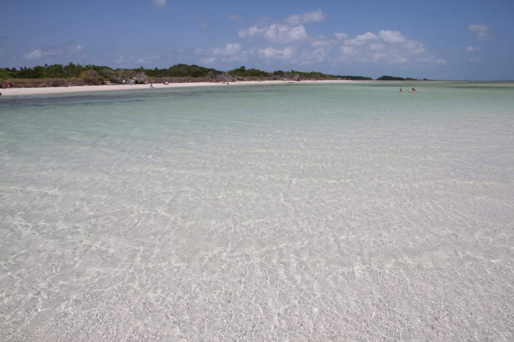 ai876.photobucket.com_albums_ab325_caluPT_Miami_20and_20Keys_BahiaHondaStateParkSandspur6.jpg