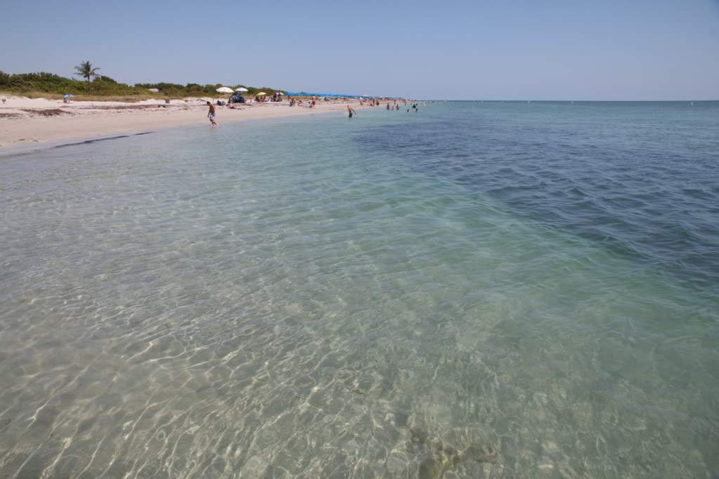 ai876.photobucket.com_albums_ab325_caluPT_Miami_20and_20Keys_CapeFloridaBeach3.jpg