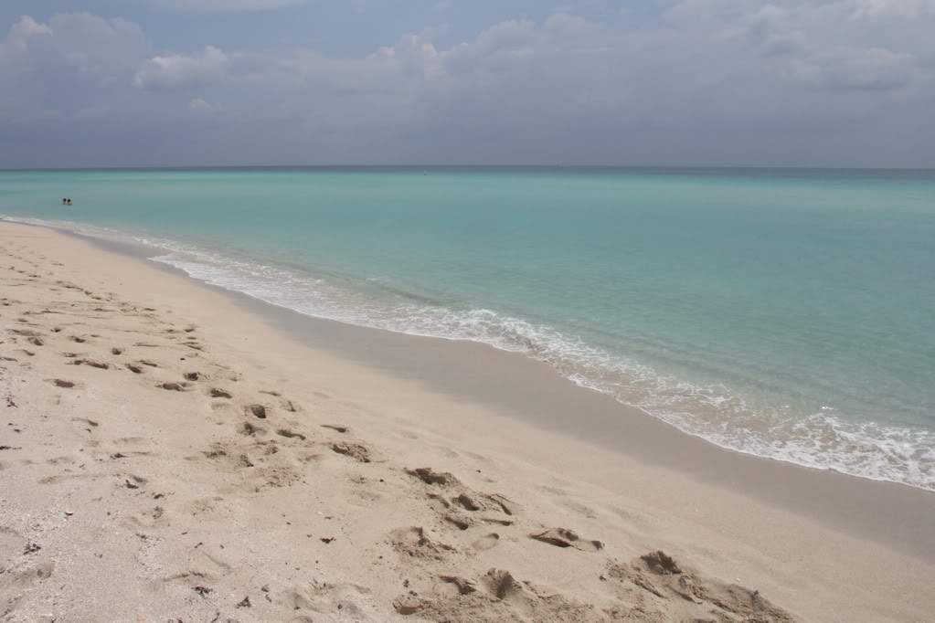 ai876.photobucket.com_albums_ab325_caluPT_Miami_20and_20Keys_HauloverParkBeach3.jpg