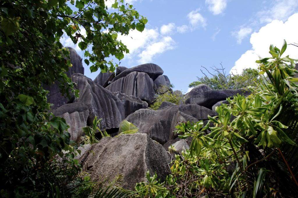 ai876.photobucket.com_albums_ab325_caluPT_Seychelles_36argentgranito_zps8c1d3d16.jpg