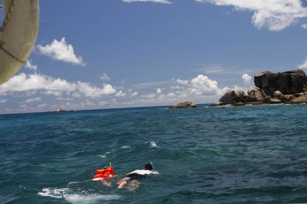 ai876.photobucket.com_albums_ab325_caluPT_Seychelles_45cocomarinepark_zps733d0c04.jpg