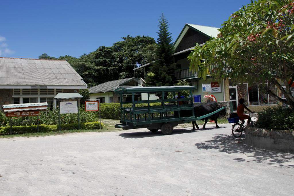 ai876.photobucket.com_albums_ab325_caluPT_Seychelles_46ladigueboi_zps73382895.jpg