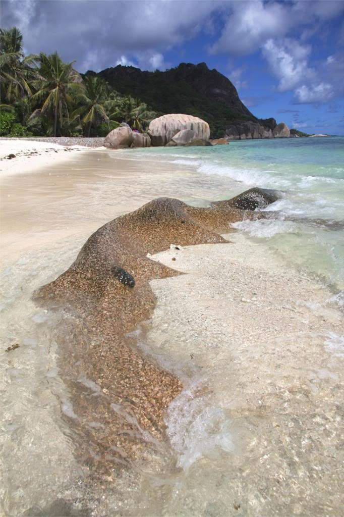 ai876.photobucket.com_albums_ab325_caluPT_Seychelles_IMG_1670_zpsfd35c3e3.jpg