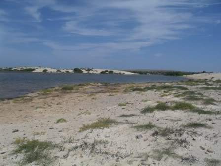 ai877.photobucket.com_albums_ab334_jmv13764_Cabo_20Verde_202010_SDC11012.jpg