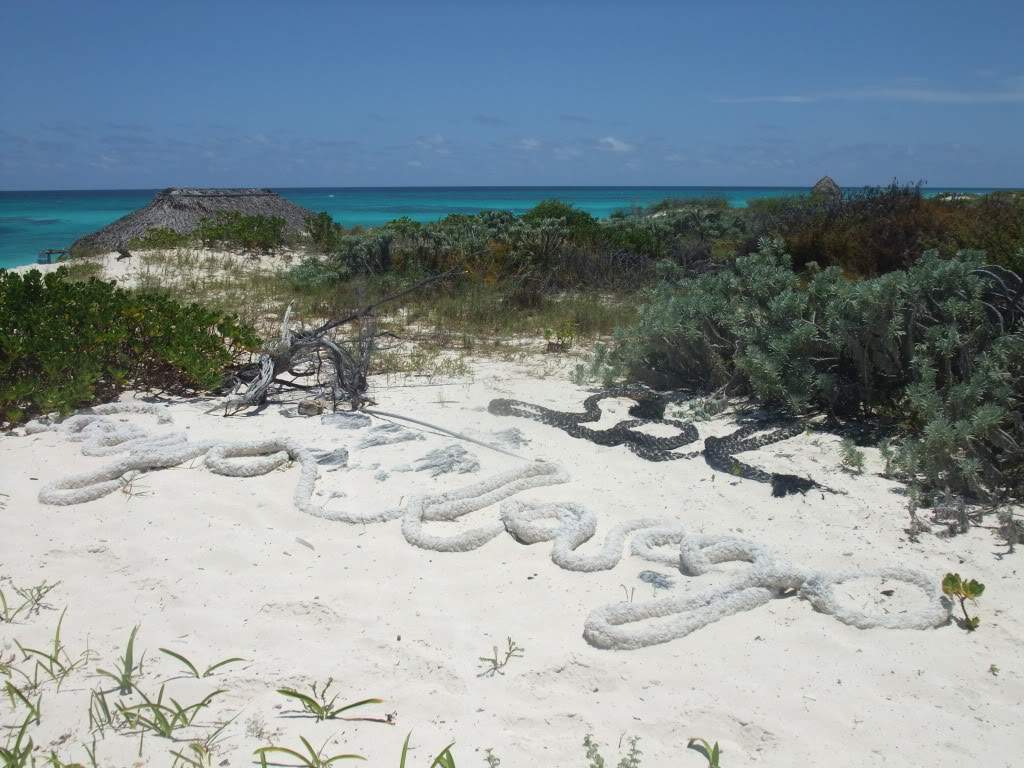ai878.photobucket.com_albums_ab345_andrezete_Cuba_2010695.jpg